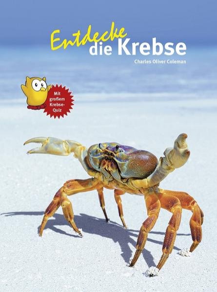 Bild zu Entdecke die Krebse