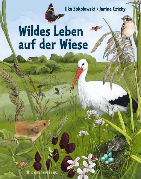 Bild zu Wildes Leben auf der Wiese