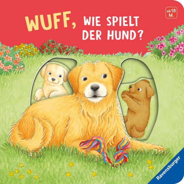 Bild zu Wuff, wie spielt der Hund?