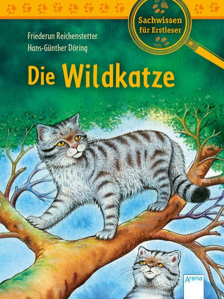 Bild zu Die Wildkatze