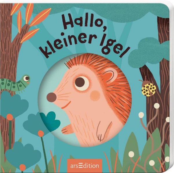 Bild zu Hallo, kleiner Igel