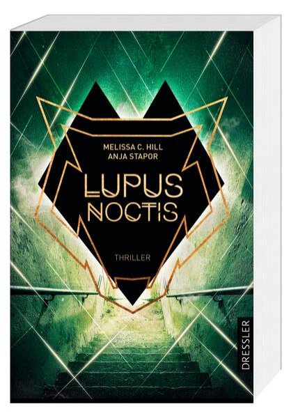 Bild zu Lupus Noctis