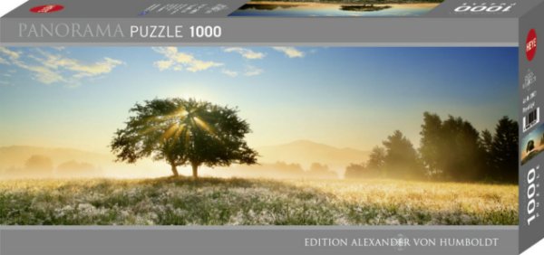 Bild zu Play of Light Puzzle