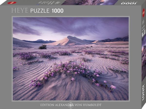 Bild zu Arrow Dynamic Puzzle