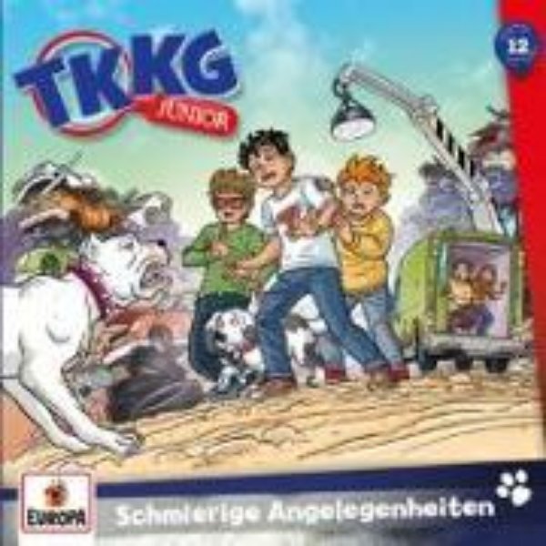 Bild von TKKG Junior - 012/Schmierige Angelegenheiten