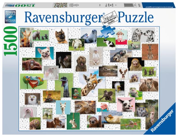 Bild zu Ravensburger Puzzle 16711 - Funny Animals Collage - 1500 Teile Puzzle für Erwachsene und Kinder ab 14 Jahren, Puzzle mit Tier-Motiv