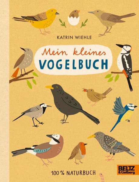 Bild zu Mein kleines Vogelbuch