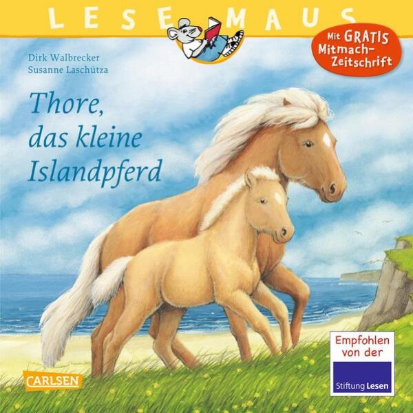 Bild zu Thore, das kleine Islandpferd