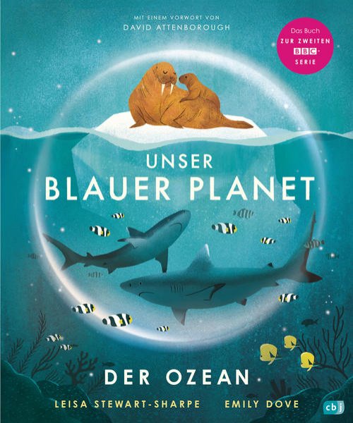 Bild zu Unser blauer Planet - Der Ozean