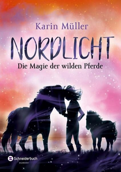 Bild zu Nordlicht, Band 03