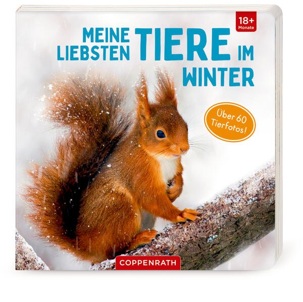 Bild zu Meine liebsten Tiere im Winter