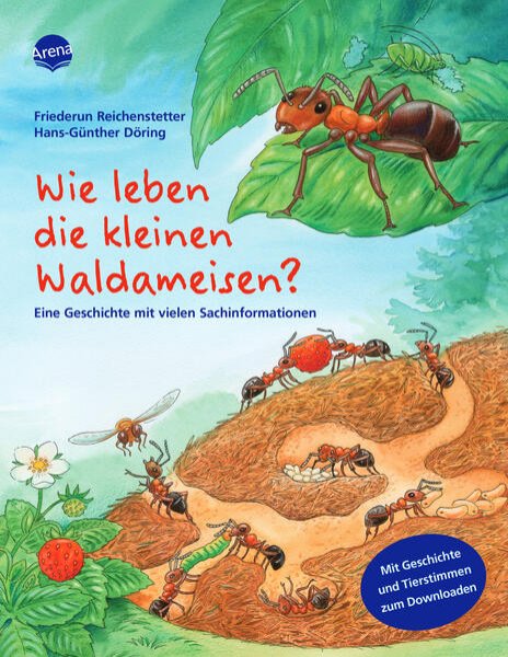 Bild zu Wie leben die kleinen Waldameisen?