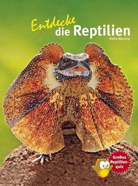 Bild zu Entdecke die Reptilien