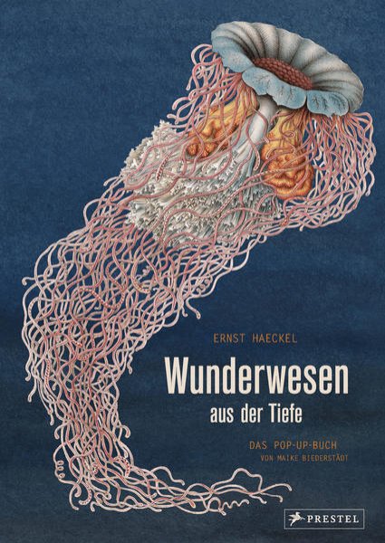 Bild zu Wunderwesen aus der Tiefe. Ernst Haeckel