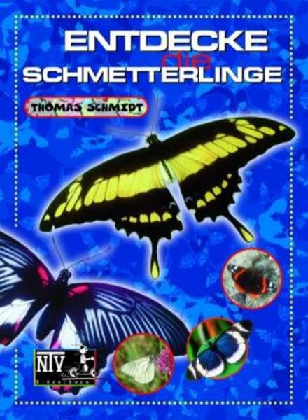 Bild zu Entdecke die Schmetterlinge