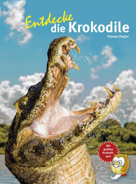 Bild zu Entdecke die Krokodile