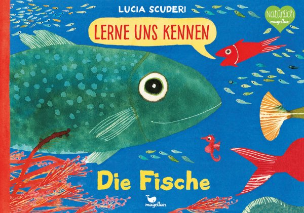 Bild zu Lerne uns kennen - Die Fische