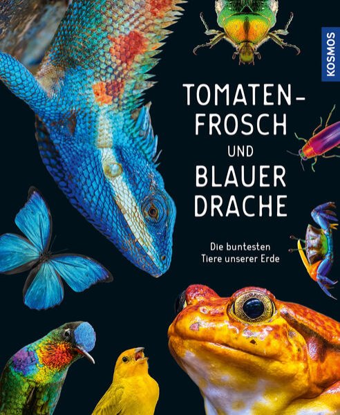 Bild zu Tomatenfrosch und blauer Drache