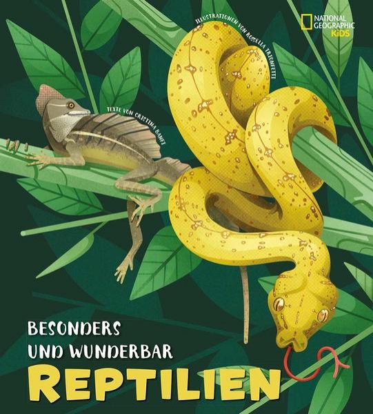 Bild zu Besonders und wunderbar: Reptilien