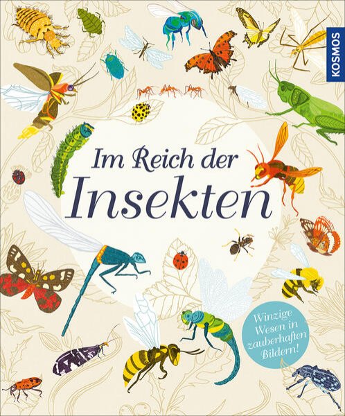 Bild zu Im Reich der Insekten