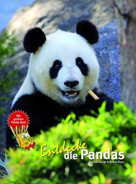 Bild zu Entdecke die Pandas