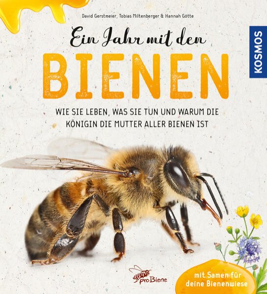 Bild zu Ein Jahr mit den Bienen