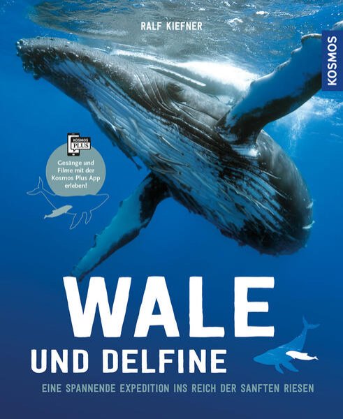 Bild zu Wale & Delfine