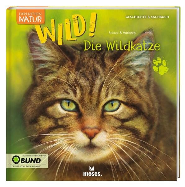 Bild zu Expedition Natur: WILD! Die Wildkatze