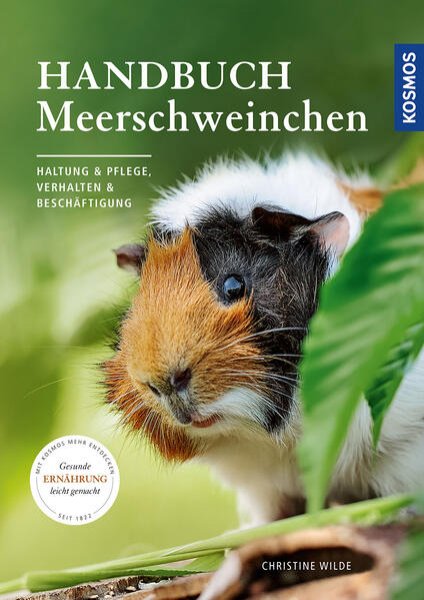 Bild zu Handbuch Meerschweinchen