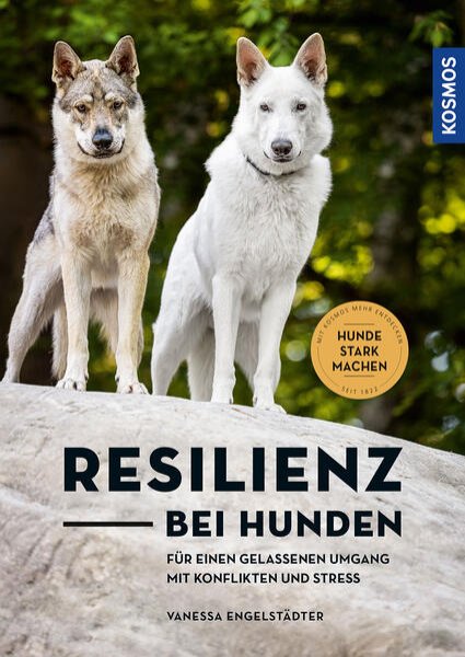 Bild zu Resilienz bei Hunden