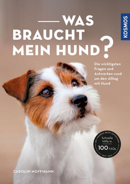 Bild zu Was braucht mein Hund?