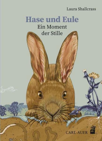 Bild zu Hase und Eule