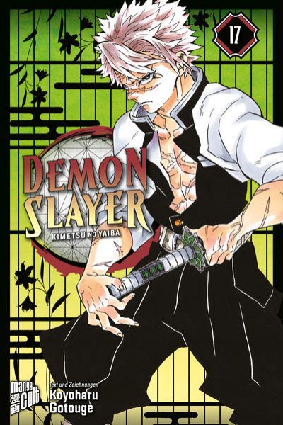 Bild zu Demon Slayer - Kimetsu no Yaiba 17