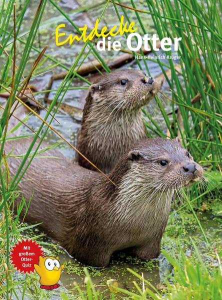 Bild zu Entdecke die Otter