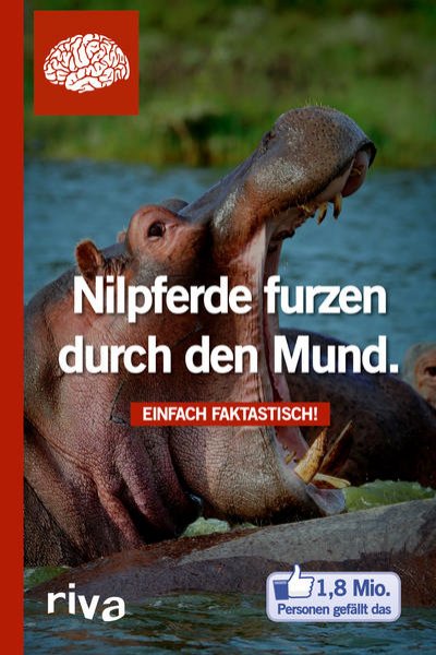 Bild zu Nilpferde furzen durch den Mund