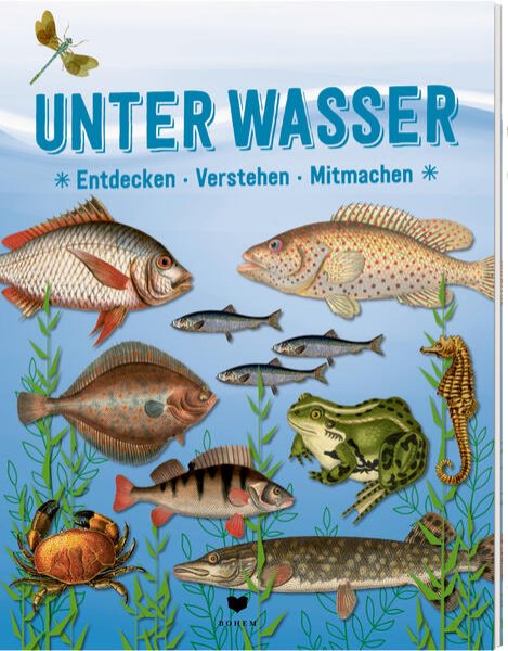 Bild zu UNTER WASSER