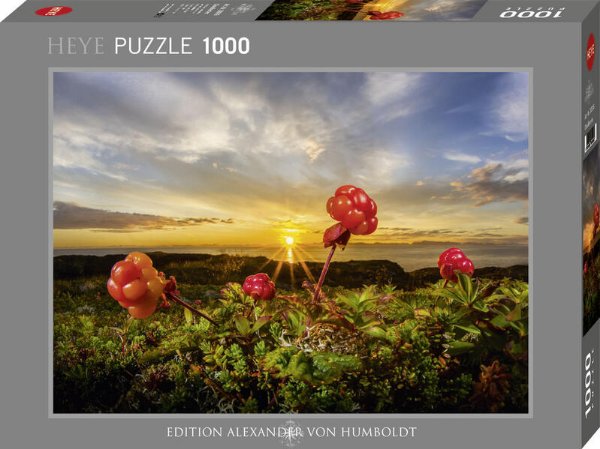 Bild zu Cloudberries Puzzle 1000 Teile