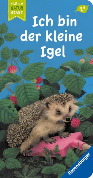 Bild zu Ich bin der kleine Igel