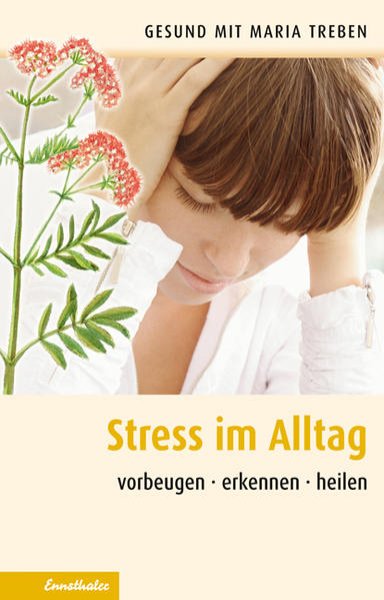 Bild zu Stress im Alltag