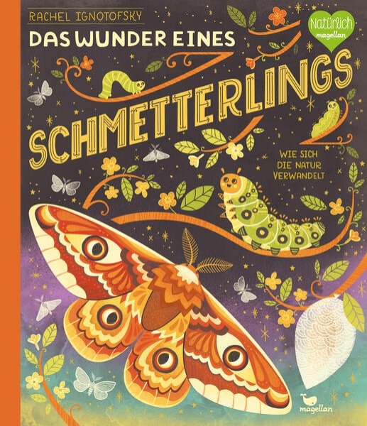 Bild zu Das Wunder eines Schmetterlings - Wie sich die Natur verwandelt