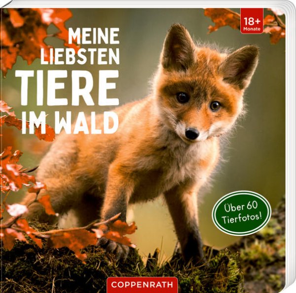 Bild zu Meine liebsten Tiere im Wald