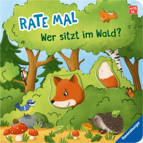 Bild zu Rate mal: Wer sitzt im Wald?