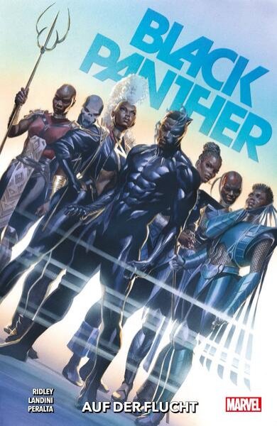 Bild zu Black Panther - Neustart