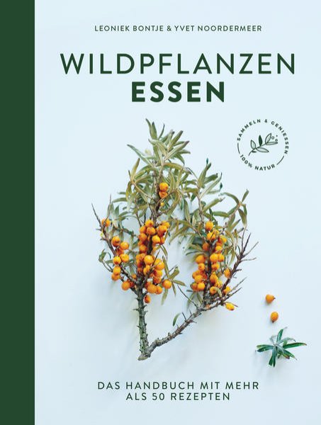 Bild zu Wildpflanzen essen