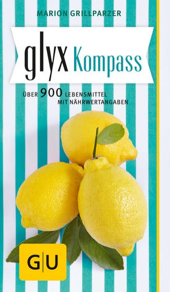 Bild zu GLYX-Kompass