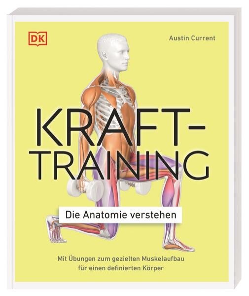 Bild zu Krafttraining - Die Anatomie verstehen