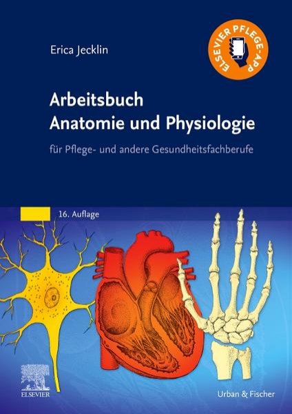 Bild zu Arbeitsbuch Anatomie und Physiologie eBook