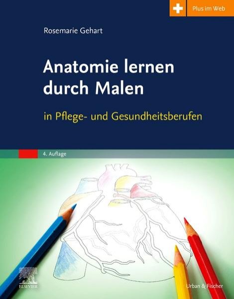 Bild zu Anatomie lernen durch Malen