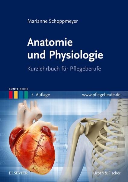 Bild zu Anatomie und Physiologie