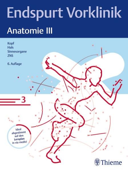 Bild zu Endspurt Vorklinik: Anatomie III